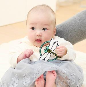 小蜻蜓牙膠 3M+